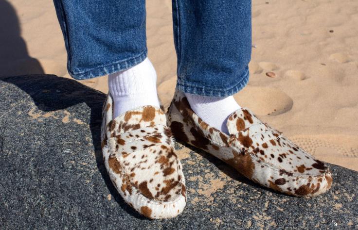 Skodon 2B04N163 spräcklig män Oliver Cabell förare 7